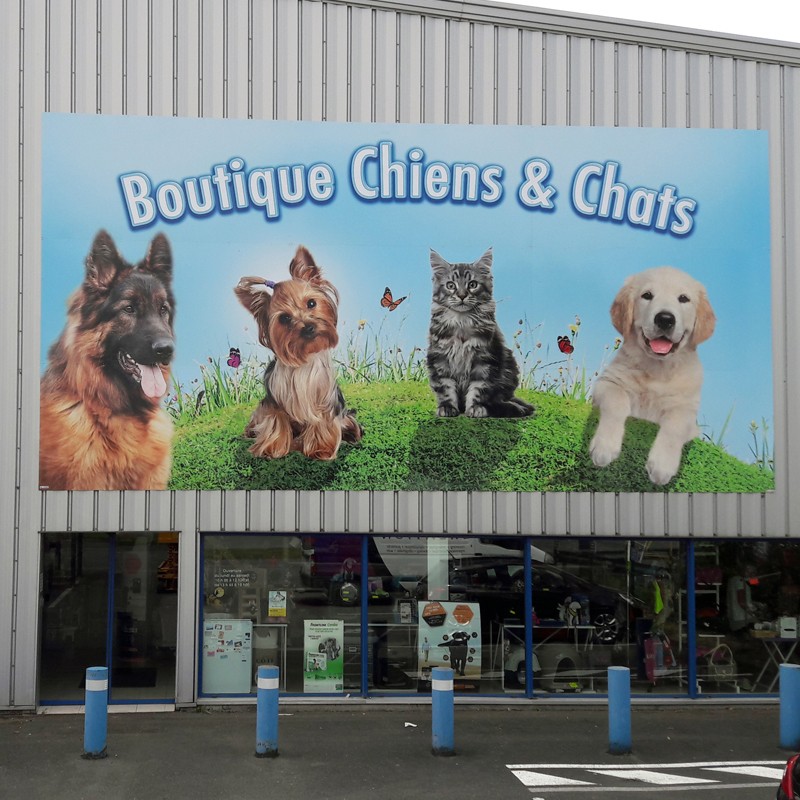 Enseigne boutique Chiens & Chats plaque dibond impression adhésif